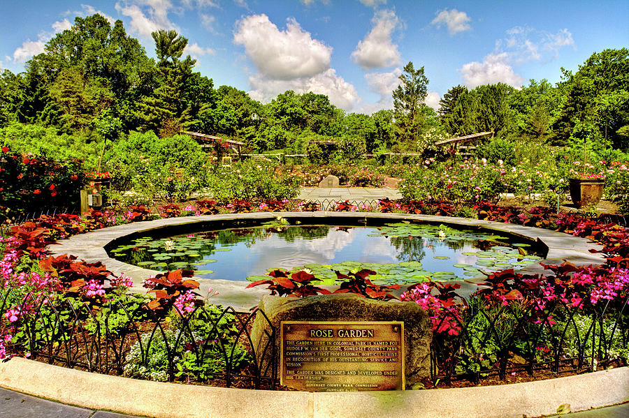 Rudolf W. van der Goot Rose Garden