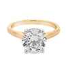 14K Two-Tone Hidden Halo Engagement Ring Setting
