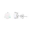 14K White Gold Opal Studs