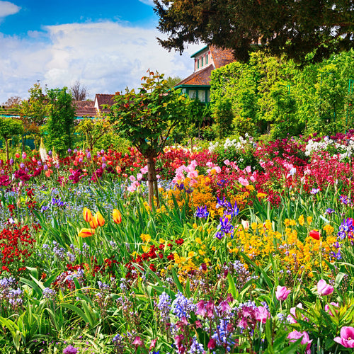 Spring