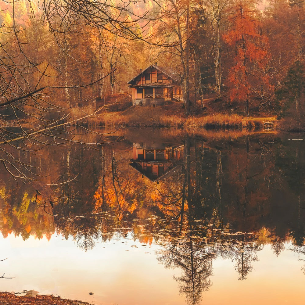 Fall
