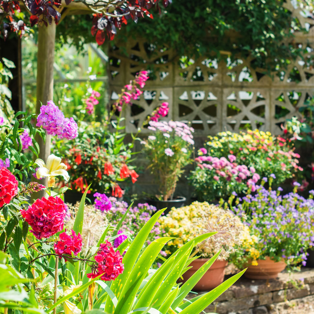 Something with a nice garden