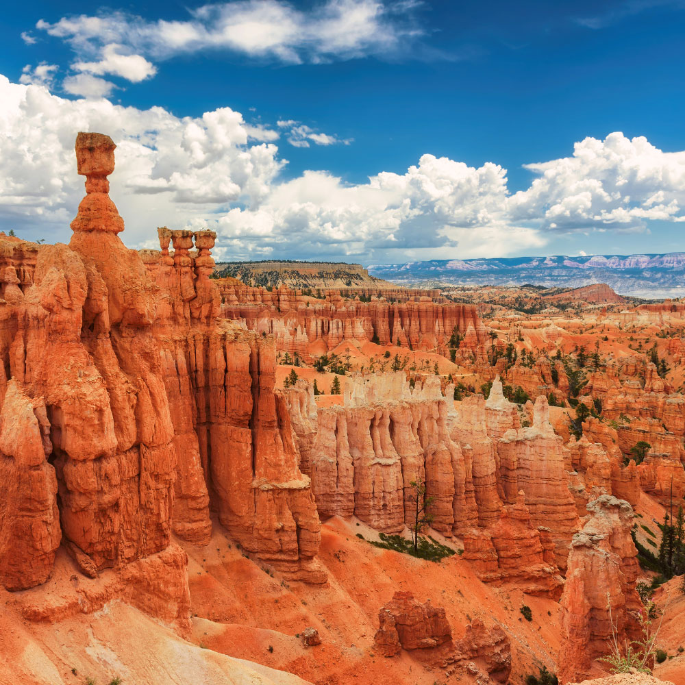 Tour of the national parks