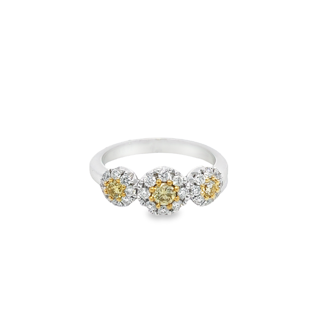 18K White and Yellow Gold Ring